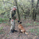 Здійснив мрію через 20 років: прикордонник із Волині охороняє кордон разом із вівчаркою Сенді
