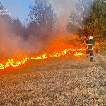 На Волині протягом доби вигоріло близько 16 гектарів сухої трави