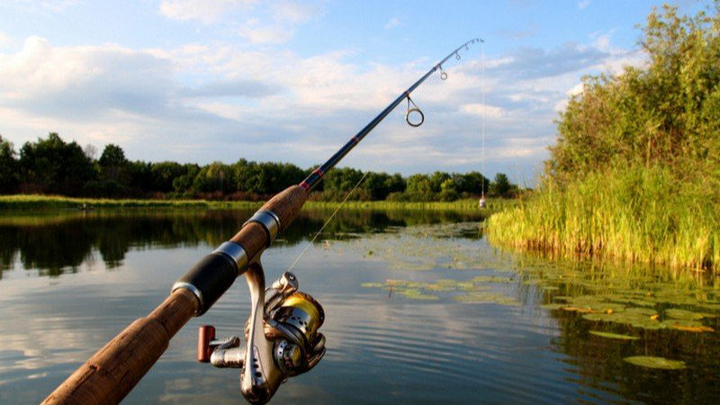 риболовля, удар струмом, Закарпаття