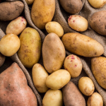 Дають щедрий урожай і гарно зберігаються до весни: 5 найкращих сортів картоплі