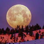 Коли повний Місяць у січні 2026: що категорично не можна робити у першу повню року