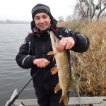 Як зловити щуку в кінці листопада – у грудні: найдієвіші поради від рибалок