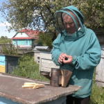 «Поки не вмру, бджіл не покину»: 84-річний пенсіонер із Волині власноруч будує вулики і тримає пасіку