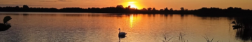Мальовнича краса: показали світлини літнього вечора на волинському озері
