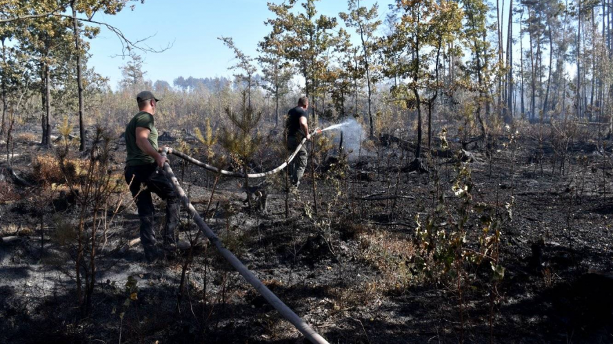 У Луцькому районі триває лісова пожежа: ліквідовано 7 га, залишилося 18 га