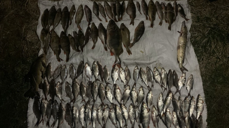 На Волині браконьєр під час нересту наловив риби на майже пів мільйона гривень