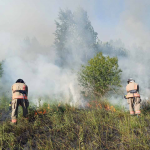 Неспокійні вихідні вогнеборців: на Волині горіли три будівлі та сухостій
