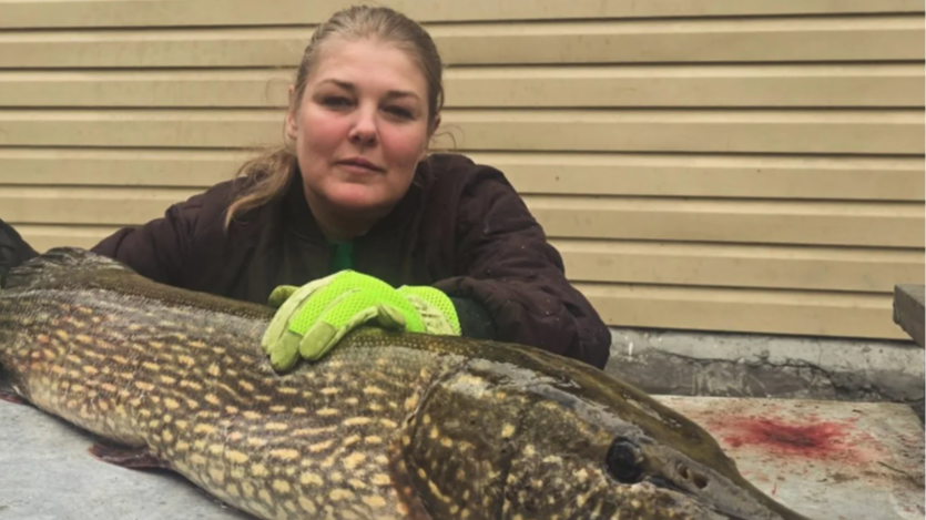 рибалка, щука