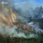 На Волині через людську недбалість сталася пожежа сухої трави