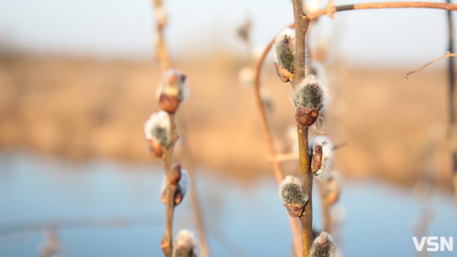 Якою буде погода 28 та 29 березня у Луцьку?