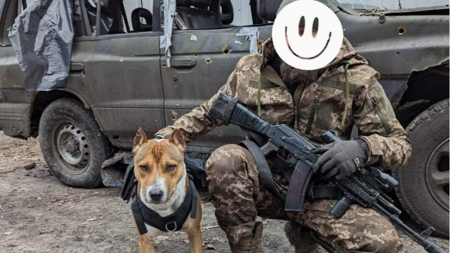 Військовий з Ківерців врятував на війні собаку та шукає йому господаря