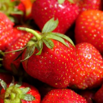 вирощування полуниці