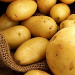 Найгірші сорти картоплі у 2026 році: їх точно не варто садити