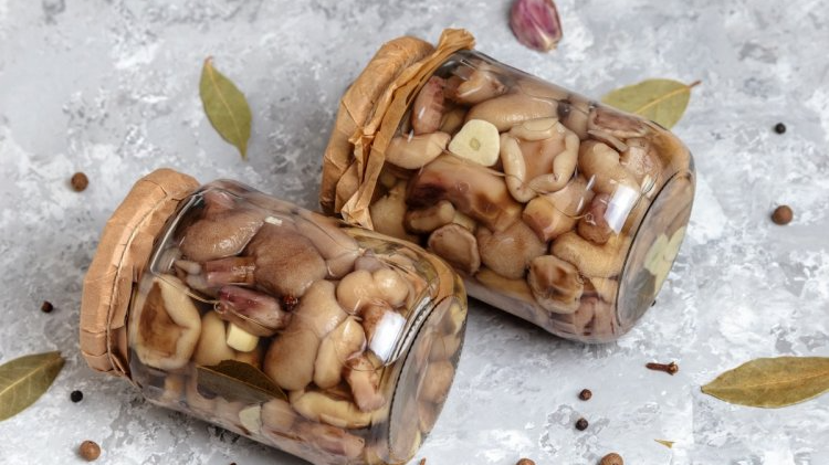 Мариновані маслюки на зиму: перевірений рецепт