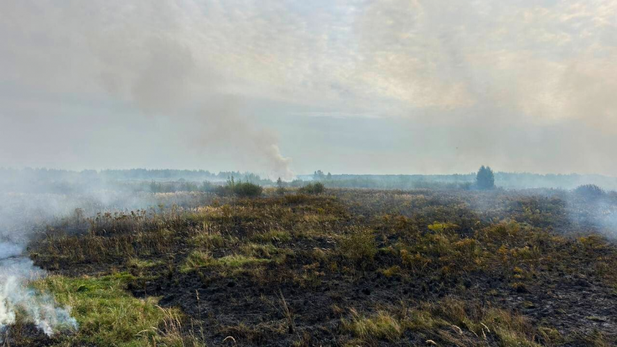 На Волині триває боротьба з пожежами торфу