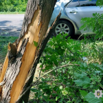 У Луцькому районі п'яний водій врізався у дерево: постраждали двоє людей