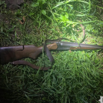 Пішов з батьком вчитися стріляти: на Буковині у лісі загинув 13-річний хлопець