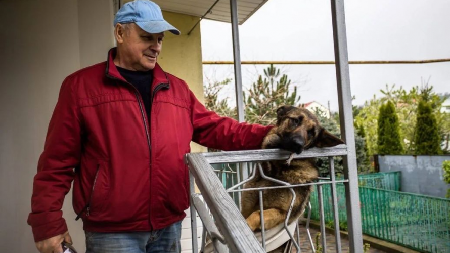 У Дніпрі собака врятувала цілу родину від російської ракети. Фото
