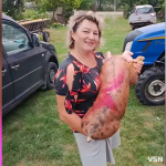 400-кілограмові свині та тисячі переглядів у TikTok: як волинянка веде господарство