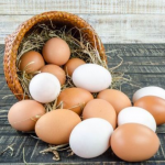 Курячі яйця по 50 гривень за штуку: у селищній раді на Волині прокоментували скандальну закупівлю