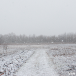 Хуртовини та штормовий вітер: прогноз погоди на 27 та 28 грудня на Волині