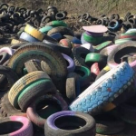 У Луцьку приберуть понад 50 шин із дворів і вулиць