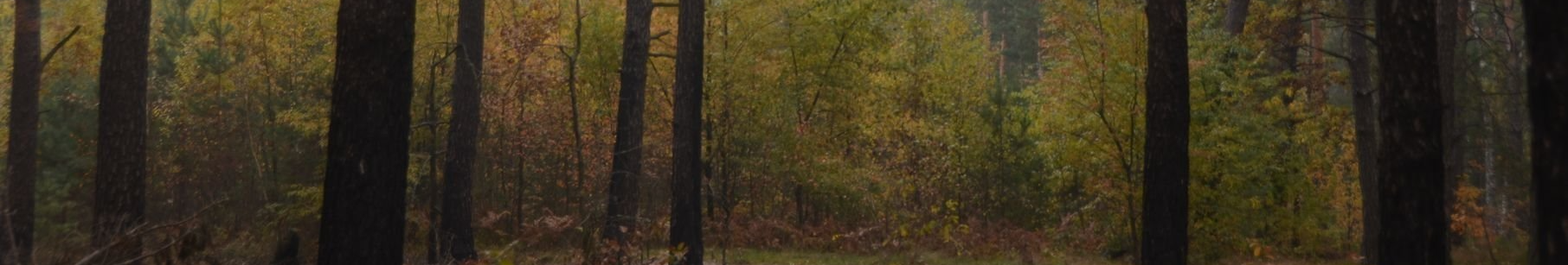 Тримав силоміць: судили волинянина, який п'яним зґвалтував неповнолітню дівчину