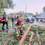 Повалені дерева й заблоковані дороги: як Луцьк оговтувався після негоди
