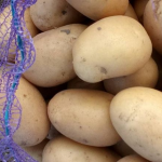 Найврожайніші та найсмачніші сорти ранньої картоплі: оберете саме їх і не помилитеся