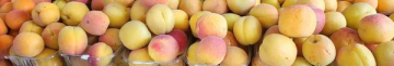 У Луцьку на ринках продають домашні абрикоси: які ціни