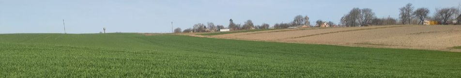 Суд на Волині змусив селянина заплатити понад 300 тисяч за незаконне вирощування сої