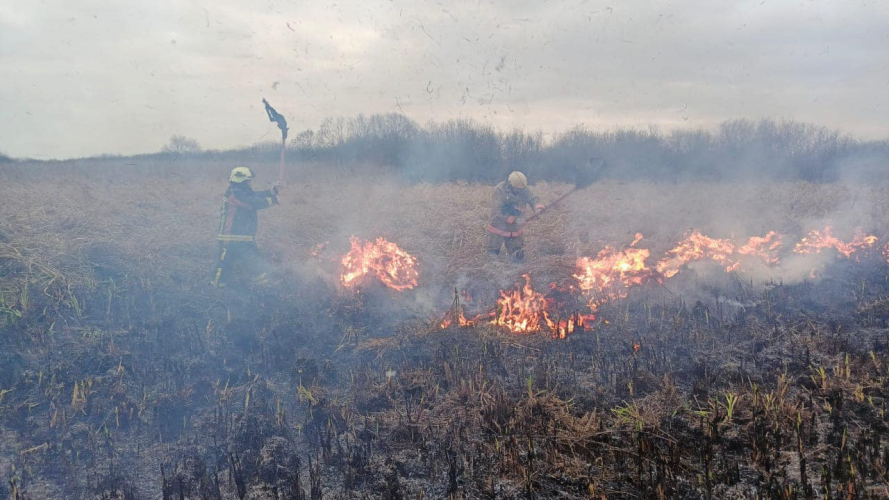 Рятувальники ліквідували масштабну пожежу на території Нацпарку «Прип'ять-Стохід»