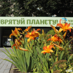 Від пластику до скла: що можна здати у Центр управління відходами в Луцьку