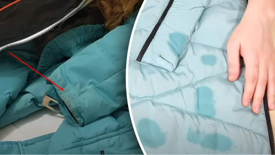 Пляма зникла за 5 секунд: простий лайфхак для пуховика, який замінює хімчистку