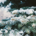 Рекордний холод: синоптики розповіли, якою буде зима та погода на Новий рік