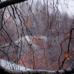 погода в Україні