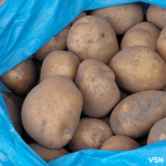 Скільки коштує картопля на ринку у Луцьку?