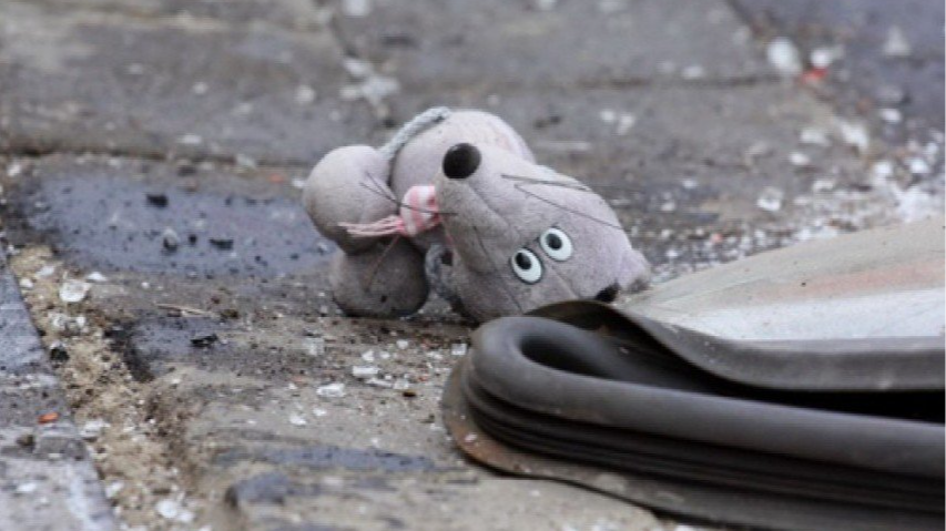 На Волині малолітній хлопчик раптово вибіг на дорогу і спричинив ДТП: судили його матір