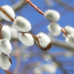 прогноз погоди на 9 березня