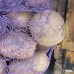 Скільки коштує картопля, морква та капуста на ринку у Луцьку: огляд цін