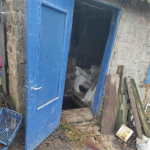 На Волині чоловік вбив знайомого і намагався замаскувати злочин