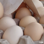 Скільки коштують яйця на ринку у Луцьку