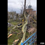 «Знищені пам'ятники»: негода на Волині повалила дерева на кладовищі