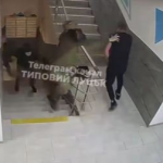 У Луцьку чоловік тікав від ТЦК, а тепер сам оповіщає військовозобов’язаних