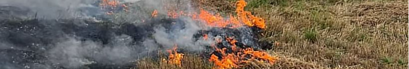 На Волині трагічно загинув чоловік: тіло виявили під час пожежі сухої трави