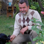 день народження, волинь