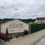 «Хлопчик після ДТП не міг тримати голову, а зараз бігає»: історія реабілітаційного комплексу біля Луцька, де повертають людям здоров'я