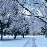 прогноз погоди на Різдво 2025