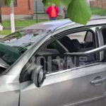 Смертельна ДТП на Волині: легковик врізався в дерево, водій загинув на місці