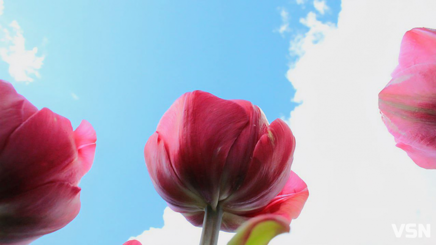 Яким буде початок весни на Волині: прогноз погоди на березень